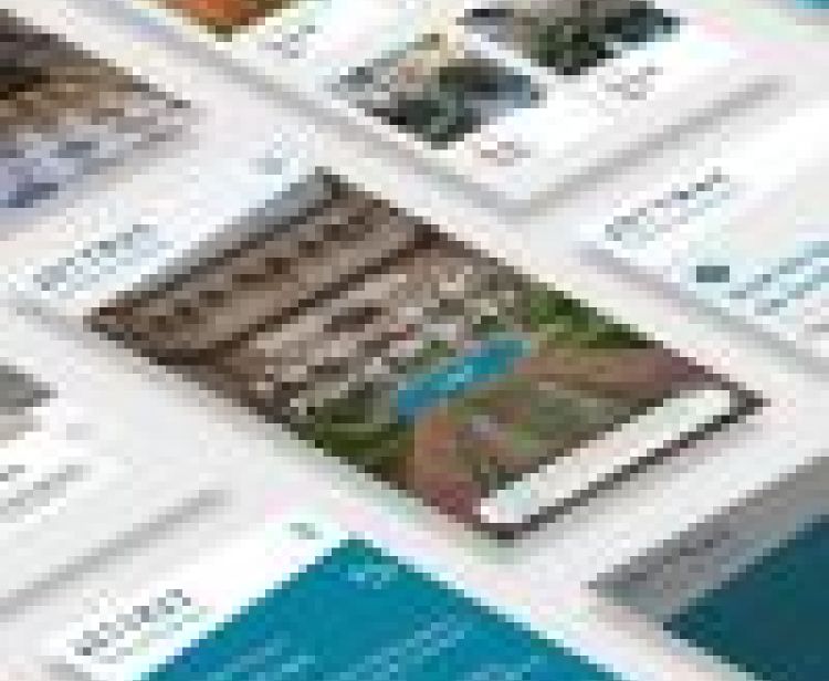 Virtual 360º Royal Alcazar of Seville experience on-line