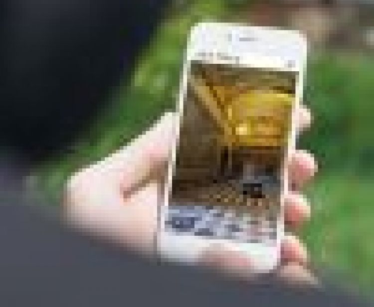 Virtual 360º Royal Alcazar de Sevilha on-line